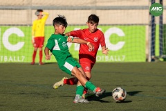 MIC7_26_DISTARDA-160