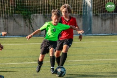 MIC7_26_DISTARDA-161