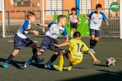 MIC7_26_DISTARDA-162