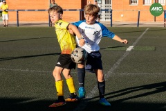 MIC7_26_DISTARDA-164