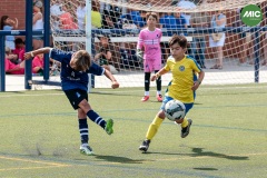 MIC7_26_DISTARDA-20