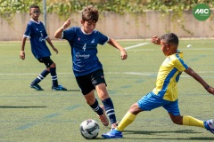 MIC7_26_DISTARDA-21