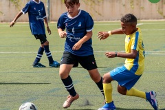 MIC7_26_DISTARDA-22