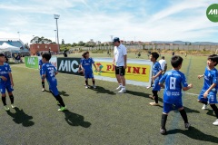 MIC7_26_DISTARDA-25