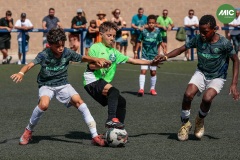 MIC7_26_DISTARDA-30