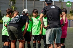 MIC7_26_DISTARDA-32