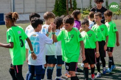 MIC7_26_DISTARDA-36