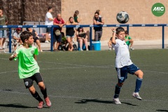 MIC7_26_DISTARDA-37