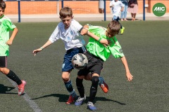 MIC7_26_DISTARDA-39