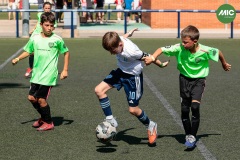 MIC7_26_DISTARDA-40