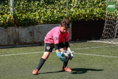 MIC7_26_DISTARDA-43