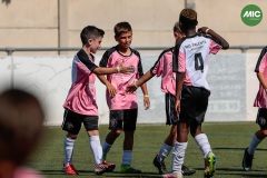 MIC7_26_DISTARDA-50