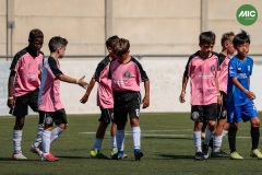 MIC7_26_DISTARDA-51