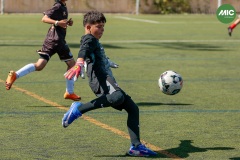 MIC7_26_DISTARDA-52