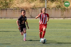 MIC7_26_DISTARDA-53