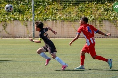 MIC7_26_DISTARDA-54