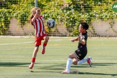 MIC7_26_DISTARDA-55