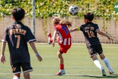 MIC7_26_DISTARDA-56