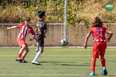 MIC7_26_DISTARDA-57