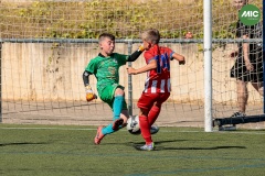 MIC7_26_DISTARDA-58