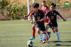 MIC7_26_DISTARDA-59
