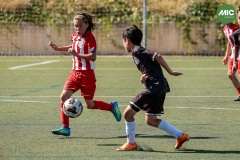 MIC7_26_DISTARDA-60