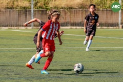 MIC7_26_DISTARDA-61