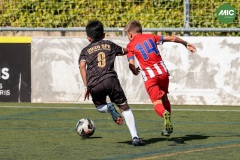 MIC7_26_DISTARDA-63