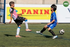 MIC7_26_DISTARDA-67