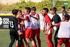MIC7_26_DISTARDA-71