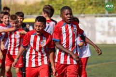 MIC7_26_DISTARDA-72