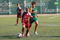 MIC7_26_DISTARDA-75