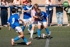 MIC7_26_DISTARDA-76