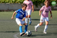 MIC7_26_DISTARDA-77