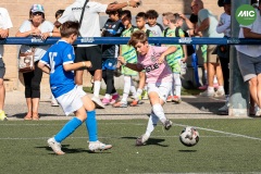 MIC7_26_DISTARDA-78