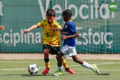 MIC7_26_DISTARDA-8