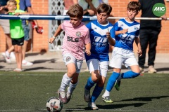MIC7_26_DISTARDA-80