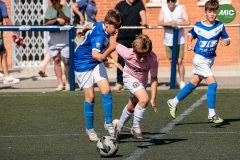 MIC7_26_DISTARDA-81