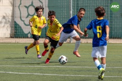 MIC7_26_DISTARDA-9