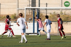 MIC7_26_DISTARDA-91