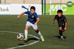 MIC7_26_DISTARDA-92