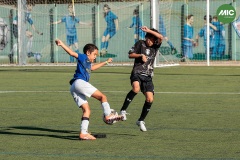 MIC7_26_DISTARDA-96