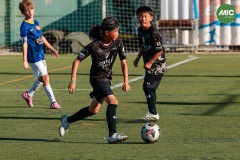 MIC7_26_DISTARDA-97