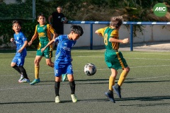 MIC7_26_DISTARDA-98