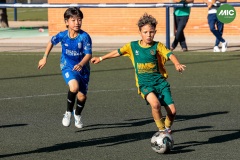 MIC7_26_DISTARDA-99