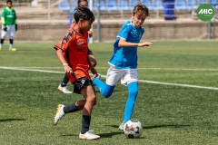 MIC7_26_DIUMATI-215