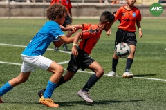 MIC7_26_DIUMATI-217