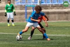 MIC7_26_DIUMATI-226