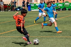 MIC7_26_DIUMATI-231