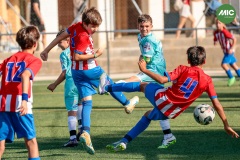 MIC7_26_DIUMATI-30